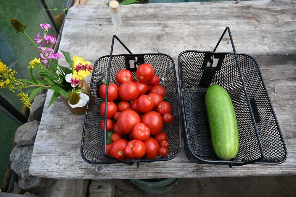 Garten 6