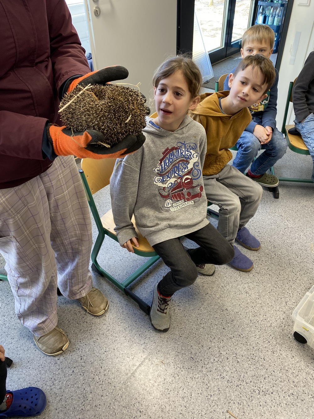 Igel 1